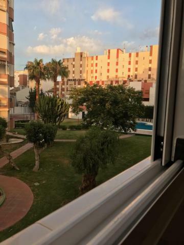 Estudio טורה דל מאר מראה חיצוני תמונה